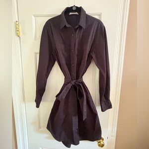 Everlane Black Shirt Dress